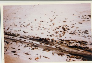 Death valley, Iraq war one.