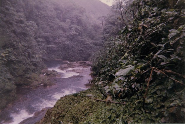 ps_2010_12_08___12_11_13