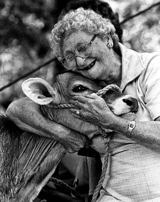 old-woman-with-her-beloved-cow