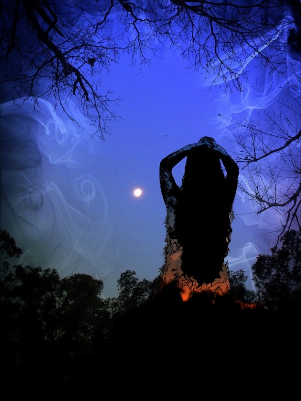 GEDSC DIGITAL CAMERA