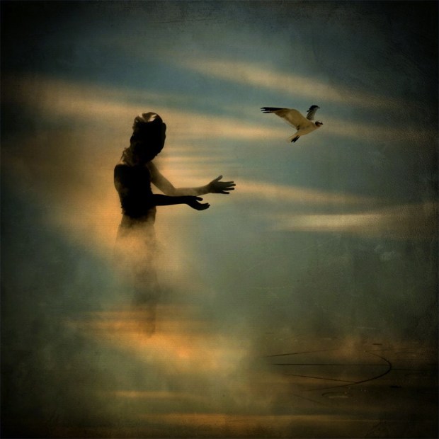 lettinggo liziahtherapies com