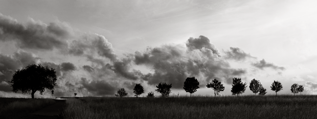 family_by_bennybrand-d3jn9do