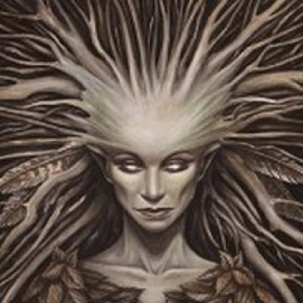 winner photbucket com