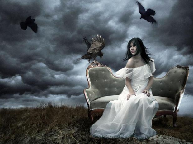 ravens photoshopcreative co uk