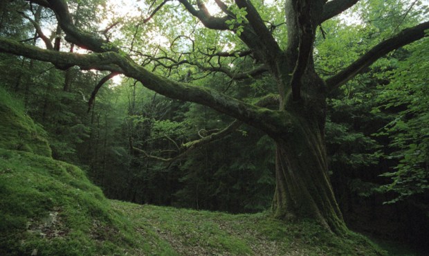 T15Hypersleep To End The Day