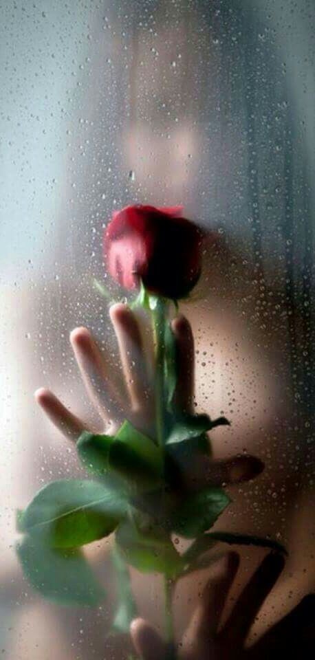 33ddc616a0e98fe9a4a1e860a1326e45