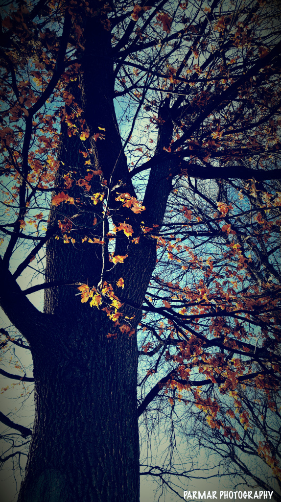 image copyright neha 2016