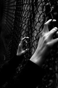 mopana-from-my-heaven-02