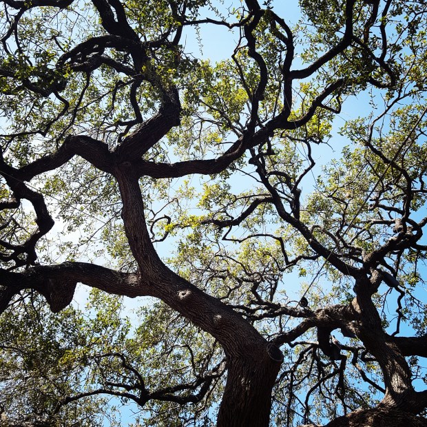 IMG_20170321_210331_355