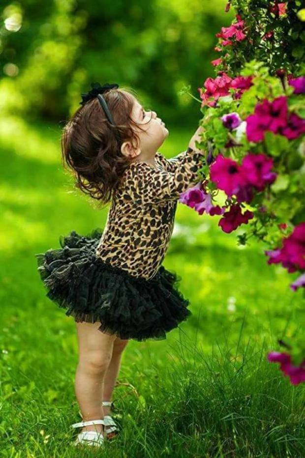 17553871_1073825329388100_5649689310703037515_n