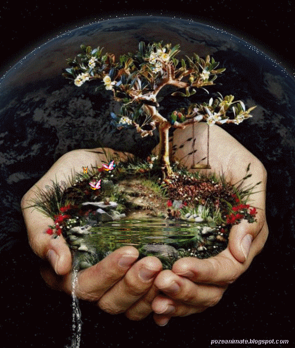 wpid-wp-1406198469706