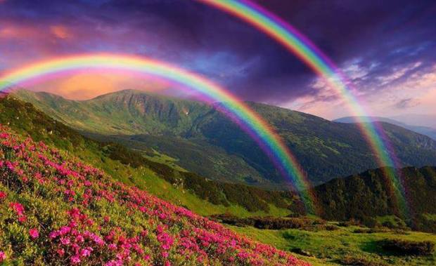 19665252_2313762938847962_3184548402437541505_n