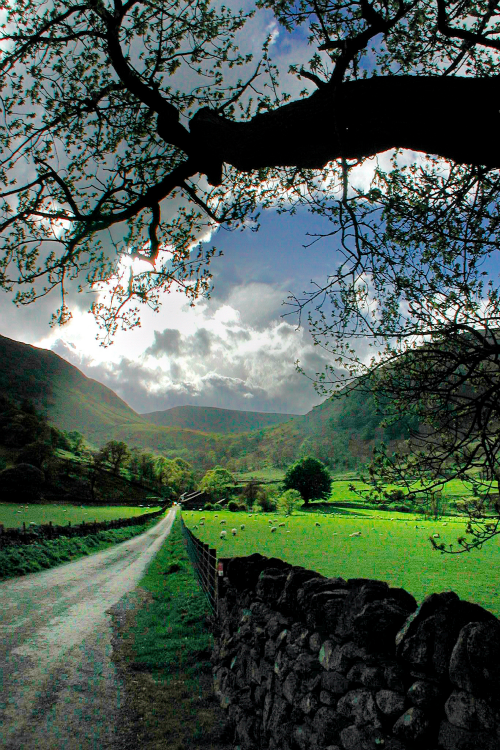 21761968_1598654123543259_9053710693706007138_n