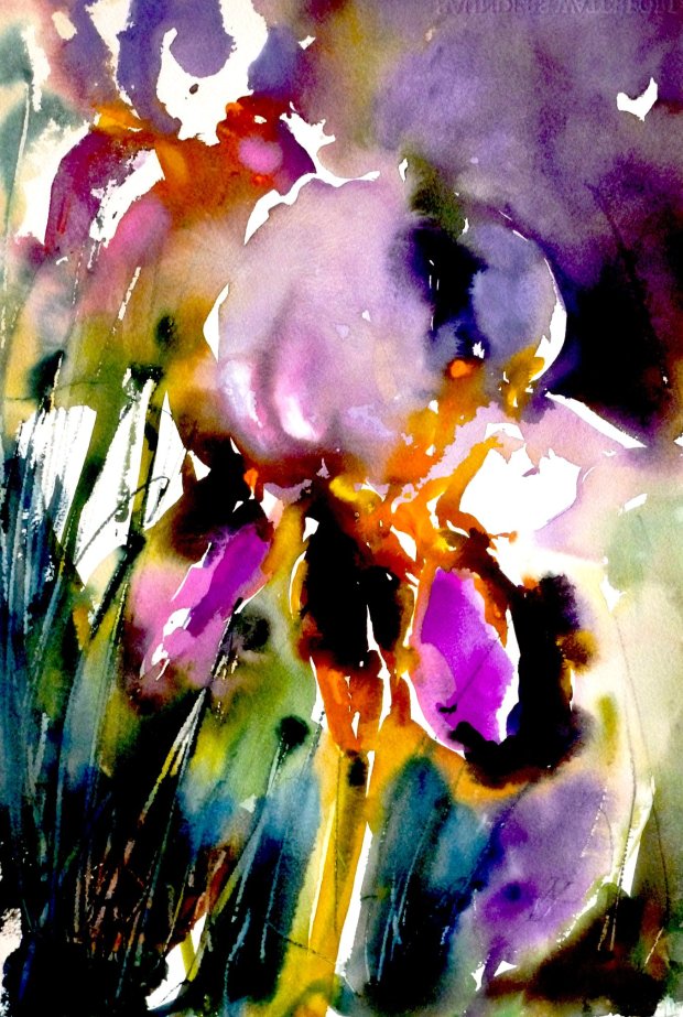 27164538_10156023231000396_5682597220846199362_o