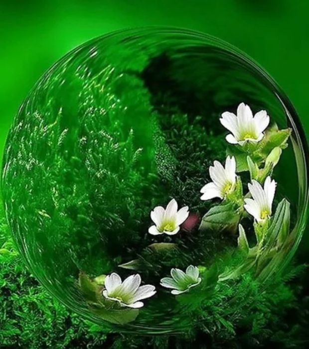 28870535_1626445170803976_7830995745125639030_n