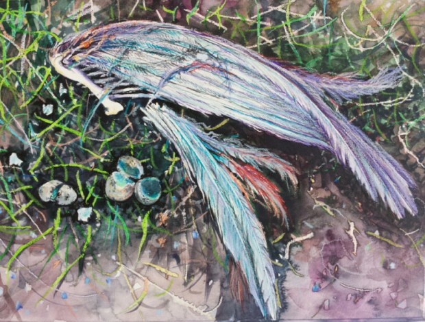 Wold-4a-matter-of-life-and-death