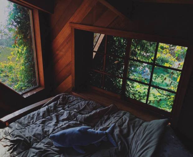 16387368_1300466410010833_3725264691942820225_n