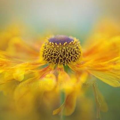 34524867_1760890627323595_939615368350007296_n