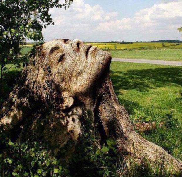 34468355_207228703421801_2883739392990511104_n