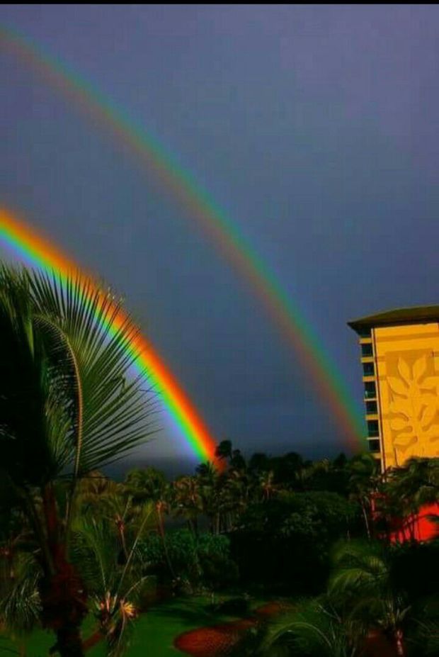 28514780_1617942634987563_1233203300008223794_o