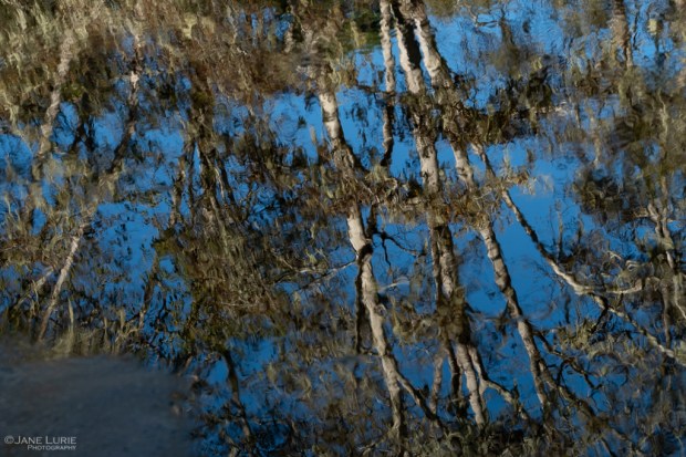 Photography, Senses, Fujifilm X-T2, iPhoneX, Landscape, Nature, California, 