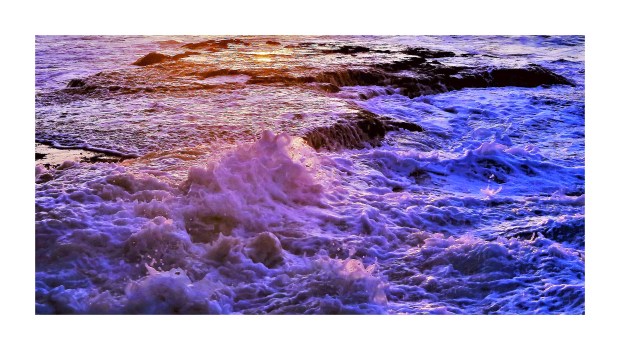 Waves of Poetry, Yancosky